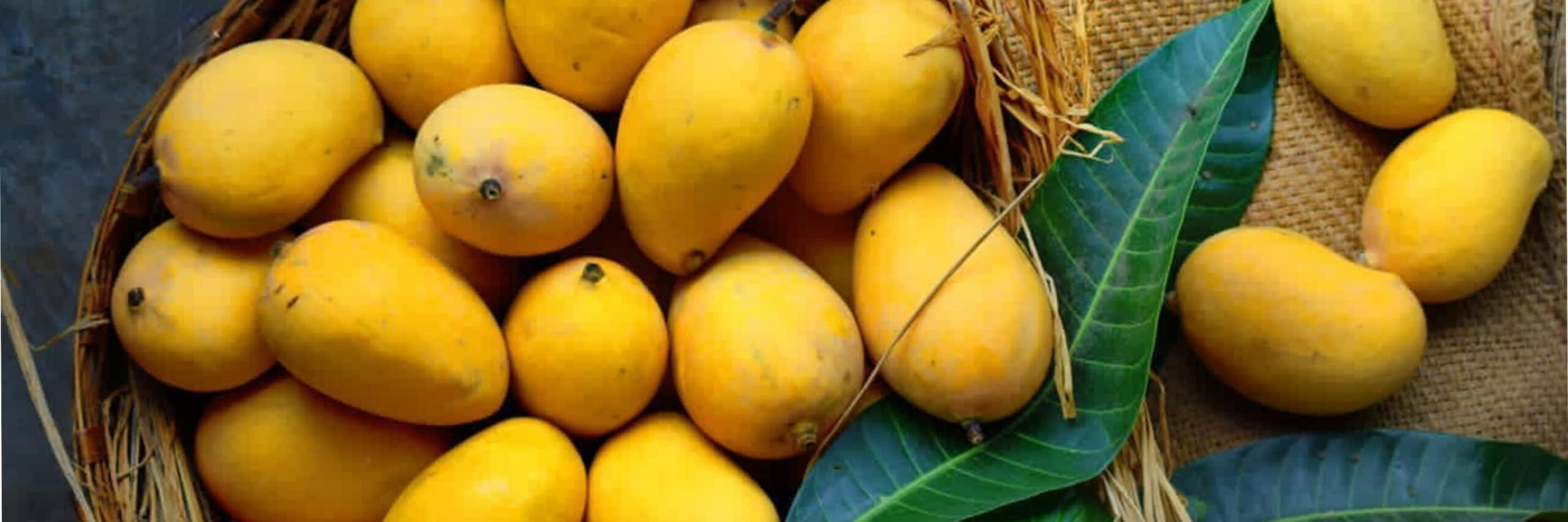 http://shetur.com/wp-content/uploads/2024/05/mango-1-scaled.jpg